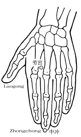 laogong tcm wiki